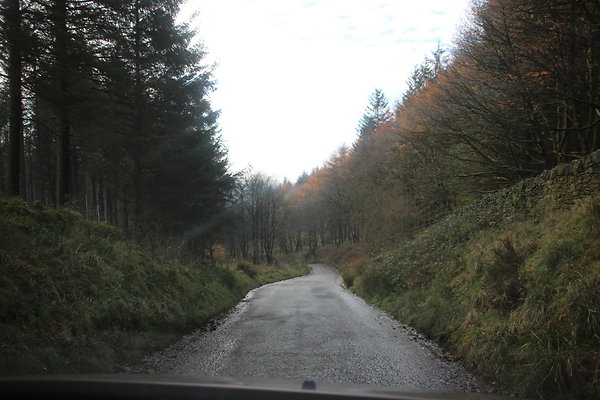Macclesfield Forest050