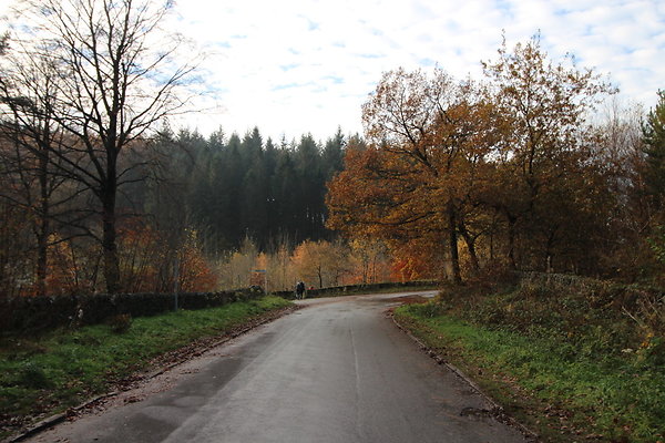 Macclesfield Forest022