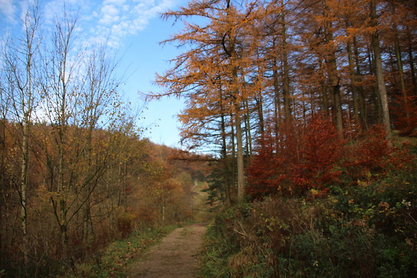 Macclesfield Forest041