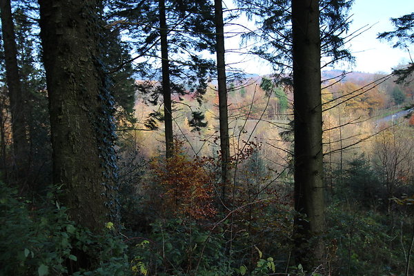 Macclesfield Forest010