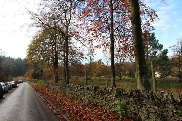 Macclesfield Forest023