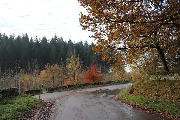 Macclesfield Forest021