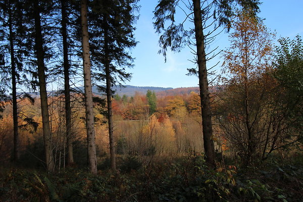 Macclesfield Forest011