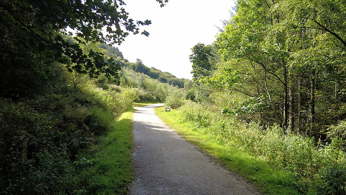 MacclesfieldForest2025015