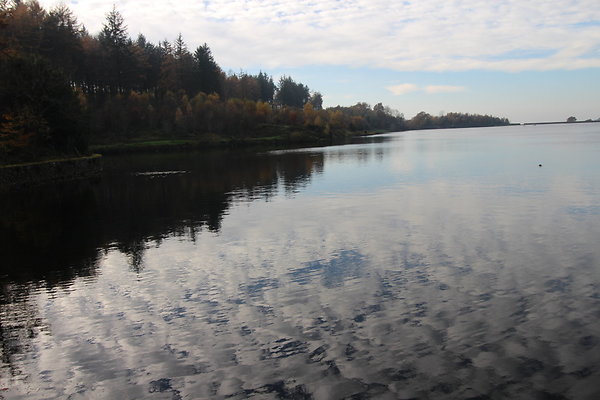 Macclesfield Forest018