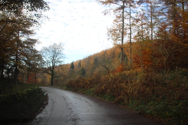 Macclesfield Forest043