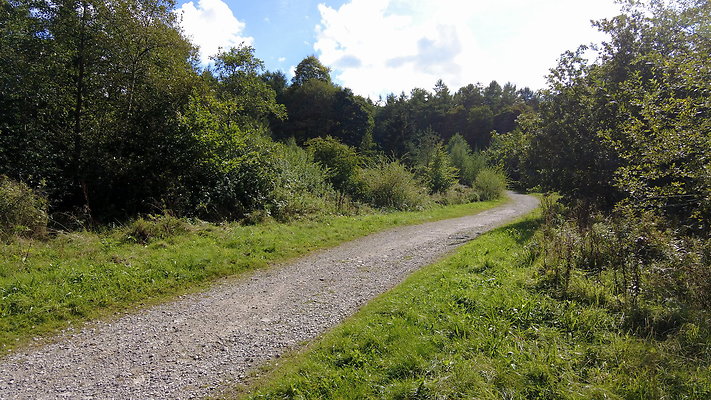 MacclesfieldForest2025030