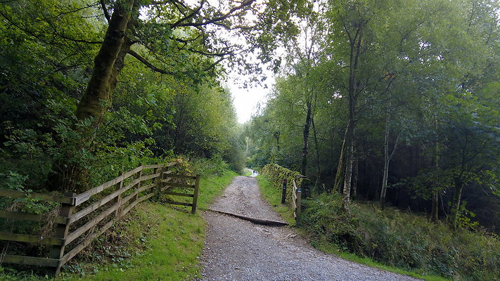 MacclesfieldForest2025013