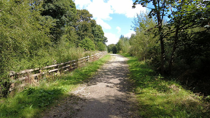 MacclesfieldForest2025017