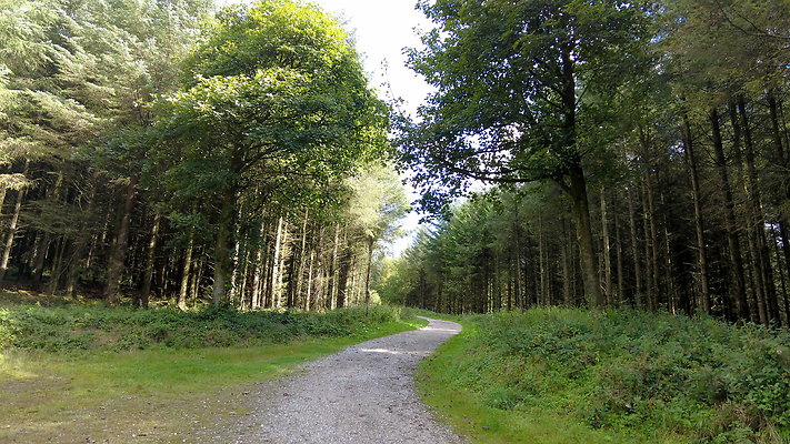 MacclesfieldForest2025065 MacclesfieldForest2025065