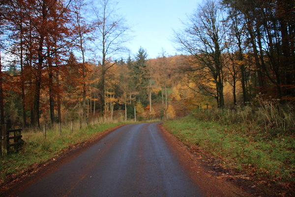 Macclesfield Forest037