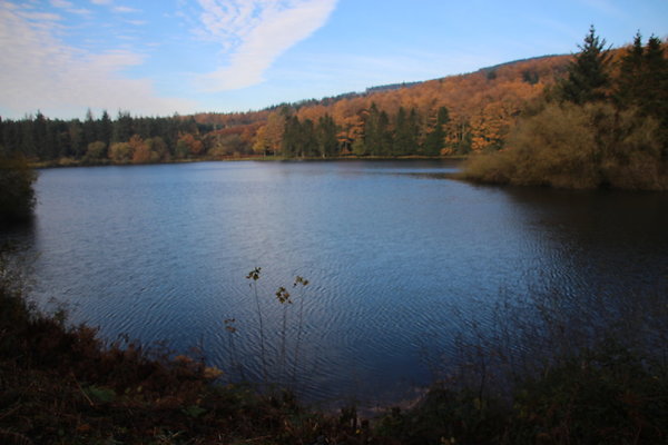 Macclesfield Forest028