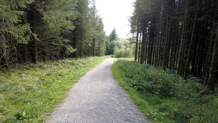 MacclesfieldForest2025066 MacclesfieldForest2025066