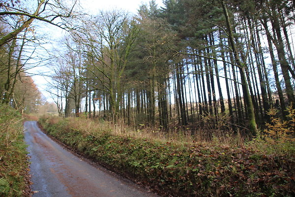 Macclesfield Forest045