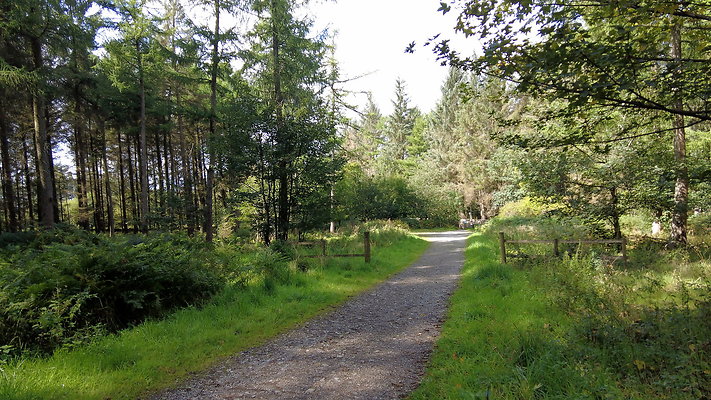MacclesfieldForest2025041