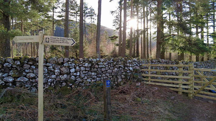 EnnerdaleLake0013 EnnerdaleLake0013