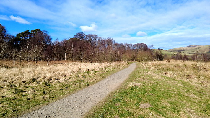 EnnerdaleLake0035 EnnerdaleLake0035