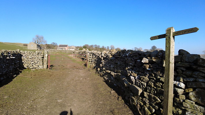 StepsWoodMarkse21 StepsWoodMarkse21