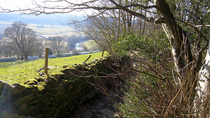 StepsWoodMarkse10 StepsWoodMarkse10