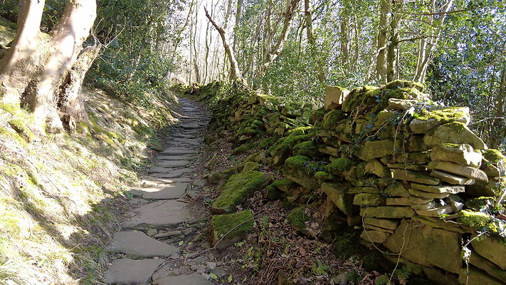 StepsWoodMarkse12 StepsWoodMarkse12