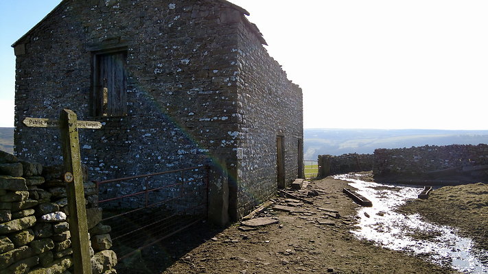 StepsWoodMarkse22 StepsWoodMarkse22