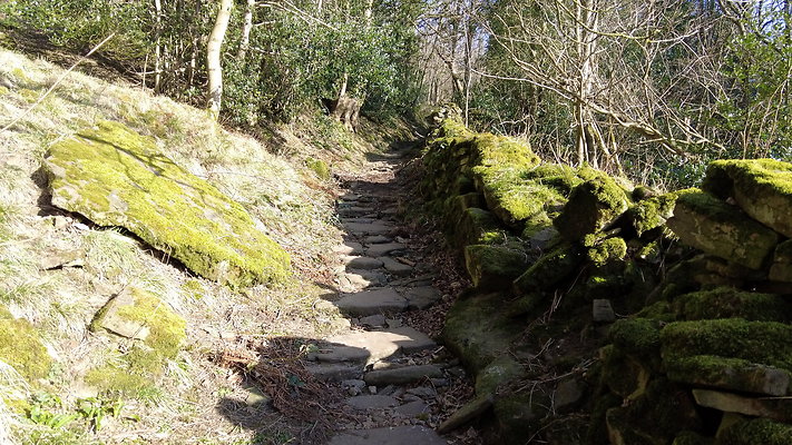 StepsWoodMarkse9 StepsWoodMarkse9