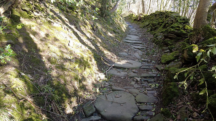 StepsWoodMarkse14 StepsWoodMarkse14