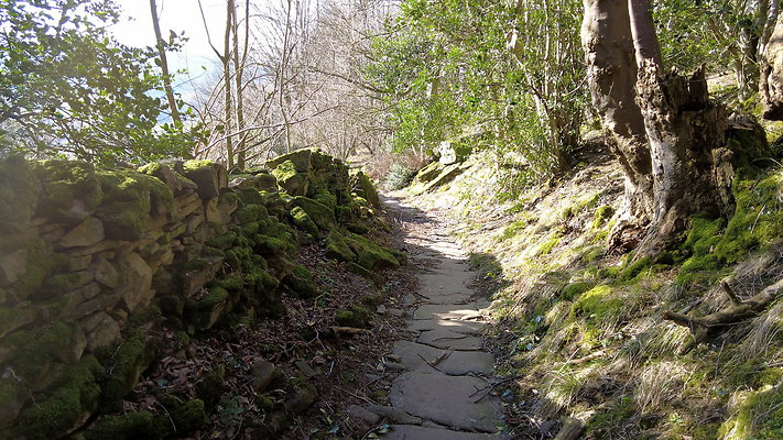 StepsWoodMarkse15 StepsWoodMarkse15