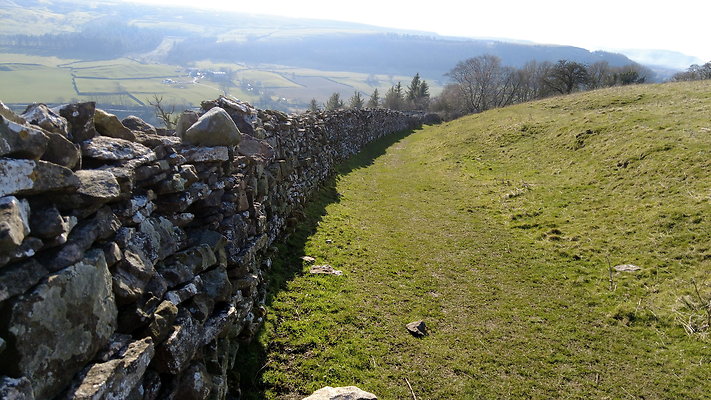 StepsWoodMarkse19 StepsWoodMarkse19