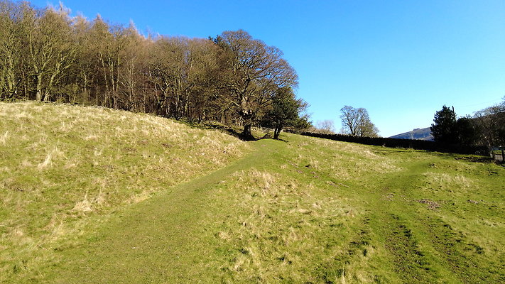 StepsWoodMarkse2 StepsWoodMarkse2