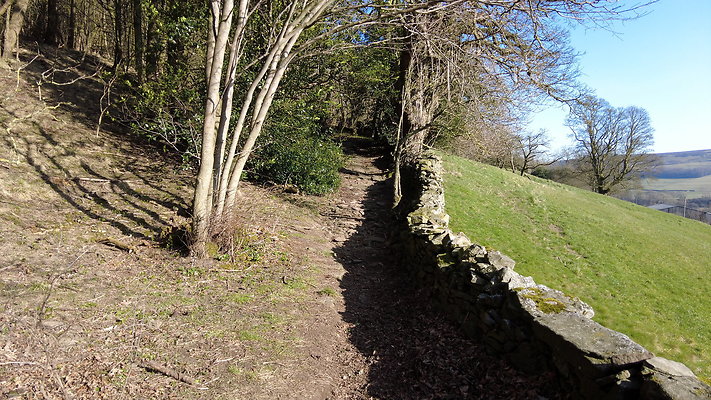 StepsWoodMarkse4 StepsWoodMarkse4