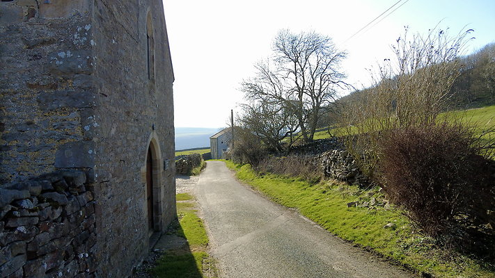 StepsWoodMarkse24 StepsWoodMarkse24