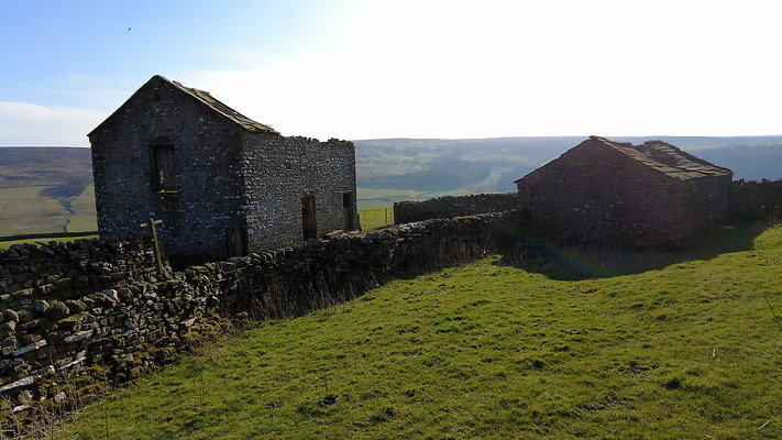 StepsWoodMarkse23 StepsWoodMarkse23