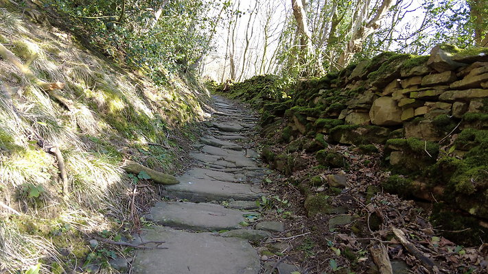 StepsWoodMarkse13 StepsWoodMarkse13