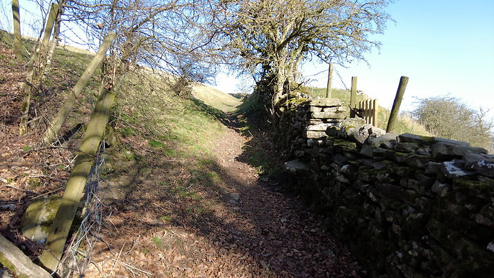 StepsWoodMarkse18 StepsWoodMarkse18