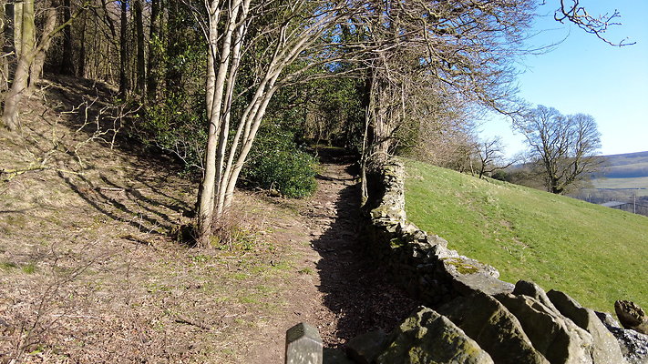 StepsWoodMarkse6 StepsWoodMarkse6