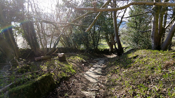 StepsWoodMarkse7 StepsWoodMarkse7