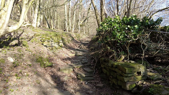 StepsWoodMarkse8 StepsWoodMarkse8