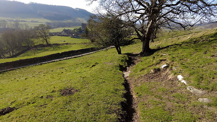 StepsWoodMarkse5 StepsWoodMarkse5