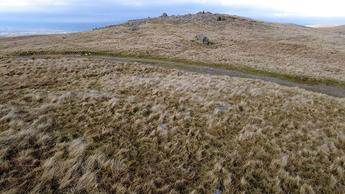 NIneStandardsRiggapproach8 NIneStandardsRiggapproach8