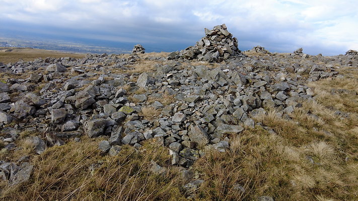 NIneStandardsRiggapproach12 NIneStandardsRiggapproach12