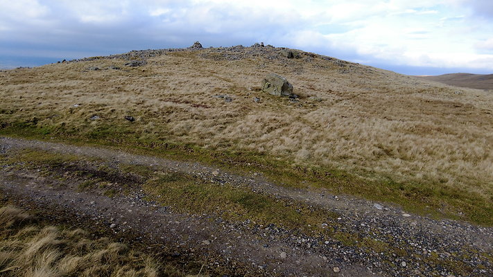 NIneStandardsRiggapproach10 NIneStandardsRiggapproach10