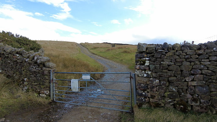 NIneStandardsRiggapproach3 NIneStandardsRiggapproach3