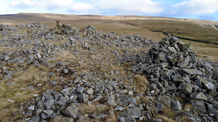 NIneStandardsRiggapproach16 NIneStandardsRiggapproach16