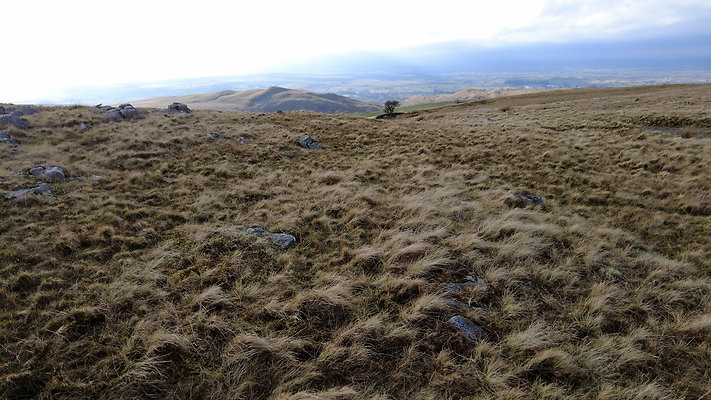 NIneStandardsRiggapproach9 NIneStandardsRiggapproach9