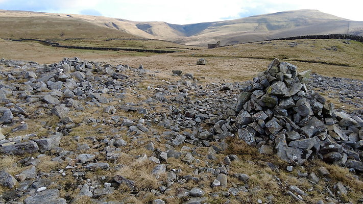 NIneStandardsRiggapproach17 NIneStandardsRiggapproach17