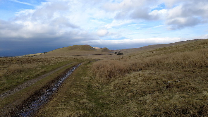 NIneStandardsRiggapproach5 NIneStandardsRiggapproach5