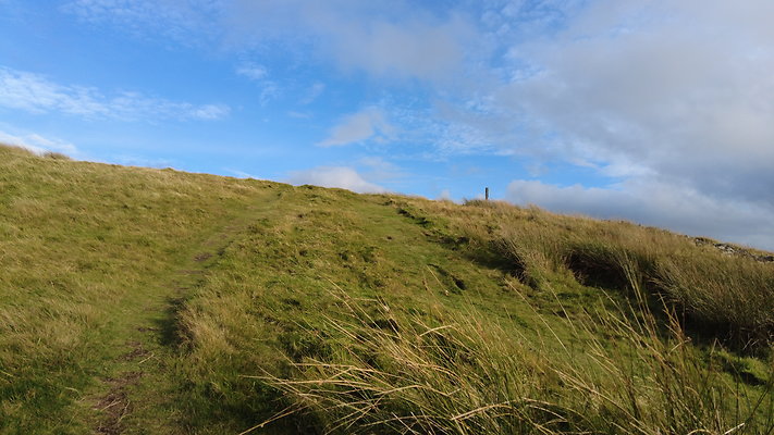 DentFell003 DentFell003