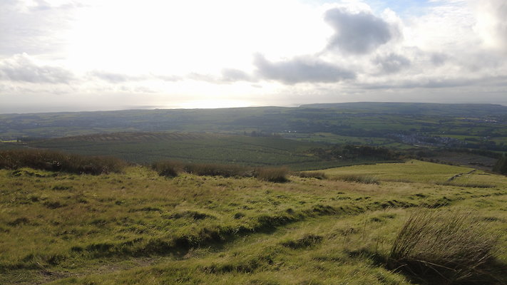 DentFell002 DentFell002