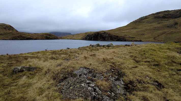 AngleTarn47 AngleTarn47